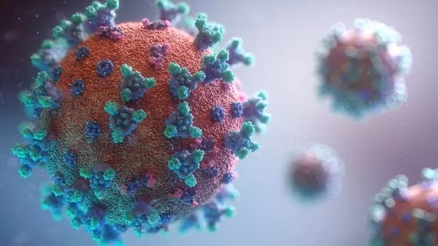 SARS-CoV-2’s sub-variant JN.1 discovered in HCM City ảnh 1