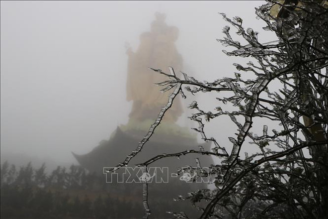 PM calls for preventive solutions against severe cold wave ảnh 1 PM calls for preventive solutions against severe cold wave ảnh 1