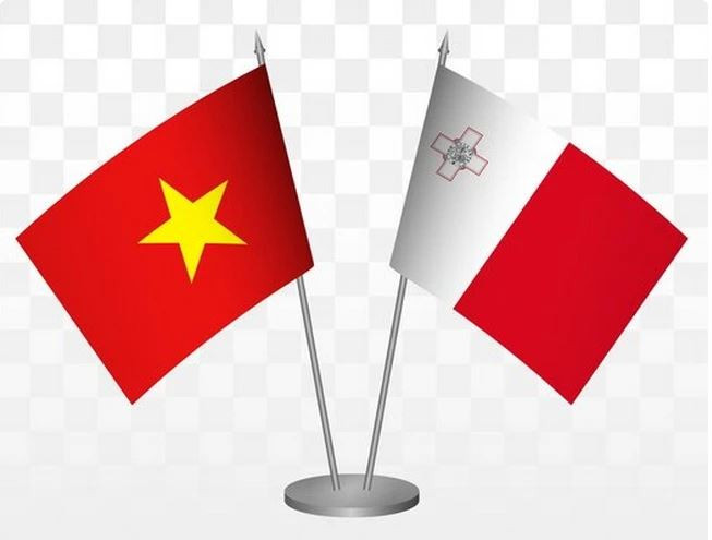 Similarities, common interests help develop Malta-Vietnam relations: Ambassador ảnh 1 Similarities, common interests help develop Malta-Vietnam relations: Ambassador ảnh 1