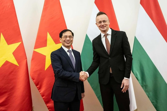 Vietnam fosters diplomatic ties with Romania, Hungary ảnh 2