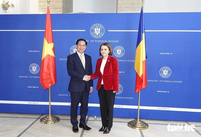 Vietnam fosters diplomatic ties with Romania, Hungary ảnh 1