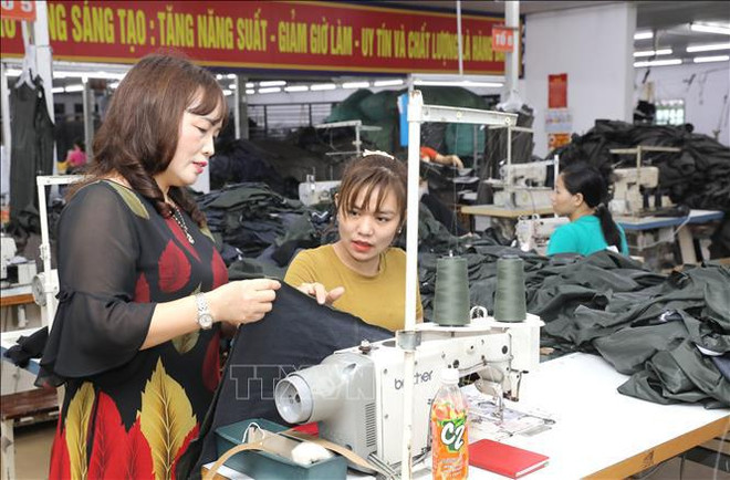 First ever white book on women-owned SMEs in Vietnam launched ảnh 2