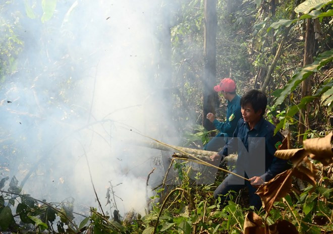  Localities hurt by widespread forest fires ảnh 1