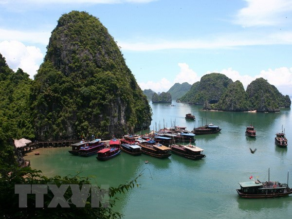 Quang Ninh cuts sight-seeing fees till year’s end ảnh 1