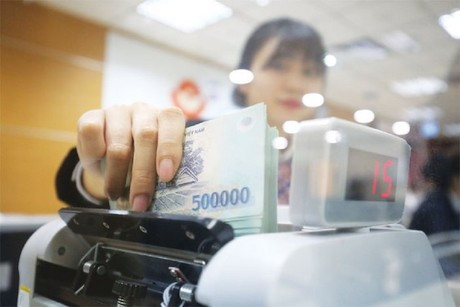 Keeping NPLs ratio below 3 percent a challenge: experts ảnh 1 Keeping NPLs ratio below 3 percent a challenge: experts ảnh 1