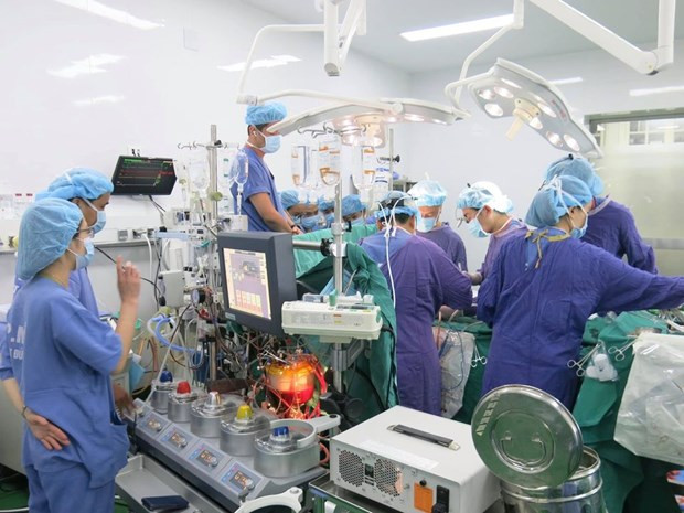 Record number of organ transplants performed ảnh 1 Record number of organ transplants performed ảnh 1