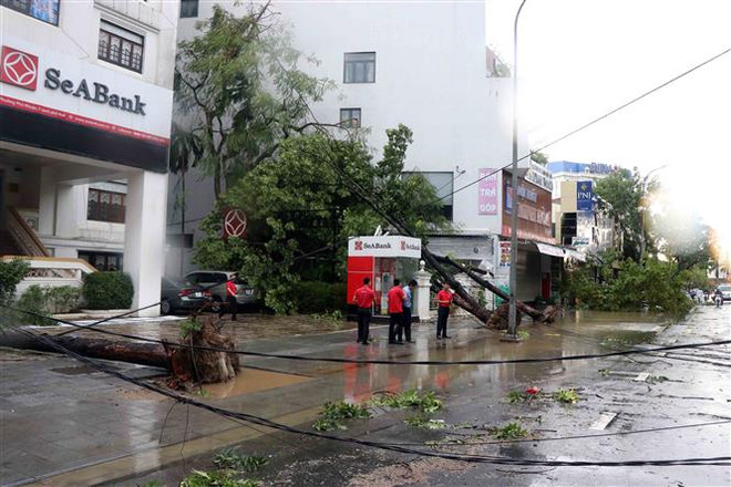 Storm Noul leaves one dead, several injured in Thua Thien-Hue ảnh 1 Storm Noul leaves one dead, several injured in Thua Thien-Hue ảnh 1