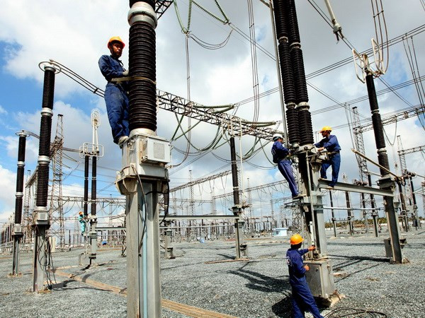 Purchase price for biomass power adjusted up ảnh 1 Purchase price for biomass power adjusted up ảnh 1