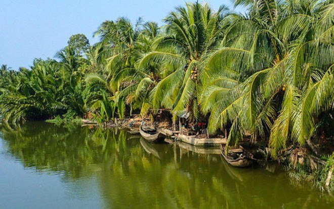 Japan helps Ben Tre to establish climate-resilient agricultural value chain ảnh 1 Japan helps Ben Tre to establish climate-resilient agricultural value chain ảnh 1