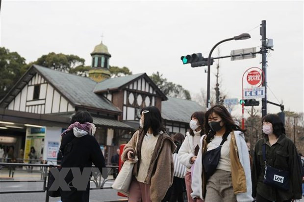 No Vietnamese students in Japan positive for SARS-CoV-2 ảnh 1