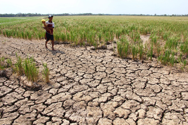 Central region at high risk of drought: official ảnh 1 Central region at high risk of drought: official ảnh 1