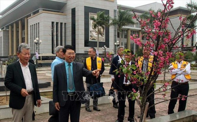 Bac Giang receives 100 cherry blossom trees from Japan ảnh 1