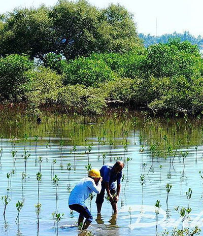 Green Climate Fund helps Quang Nam adapt to climate change ảnh 1 Green Climate Fund helps Quang Nam adapt to climate change ảnh 1