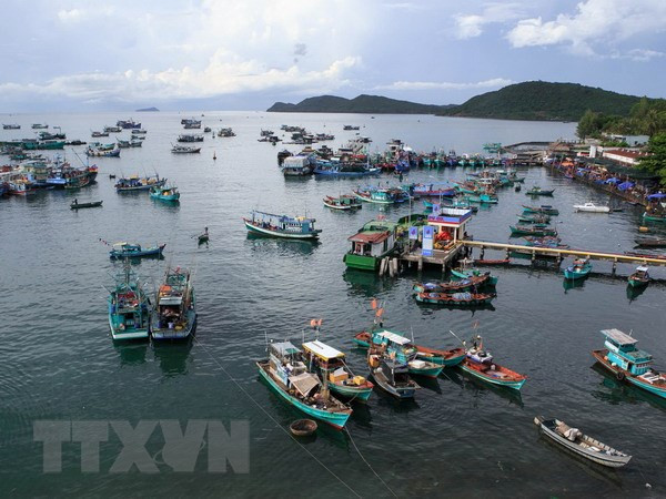 Tien Giang to develop sea-based economy ảnh 1 Tien Giang to develop sea-based economy ảnh 1