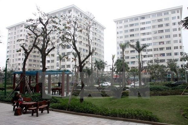 HCM City faces social housing shortage ảnh 1