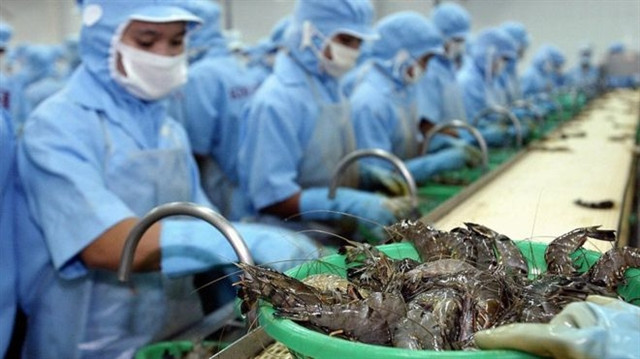 Shrimp exports to Australia rise strongly in 2019 ảnh 1 Shrimp exports to Australia rise strongly in 2019 ảnh 1