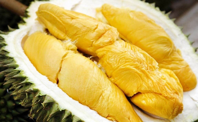 Vietnam expects to export durian to China via official channels this year ảnh 1