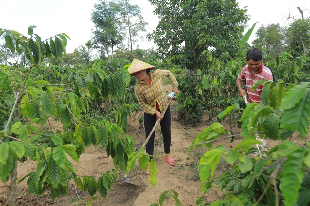 Sustainable landscape project launched for Central Highlands provinces ảnh 1 Sustainable landscape project launched for Central Highlands provinces ảnh 1