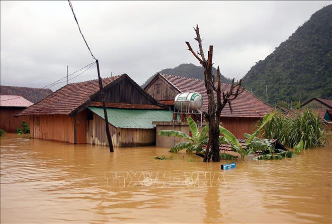 Natural disasters developing complicatedly, unpredictably this year: forecaster ảnh 1