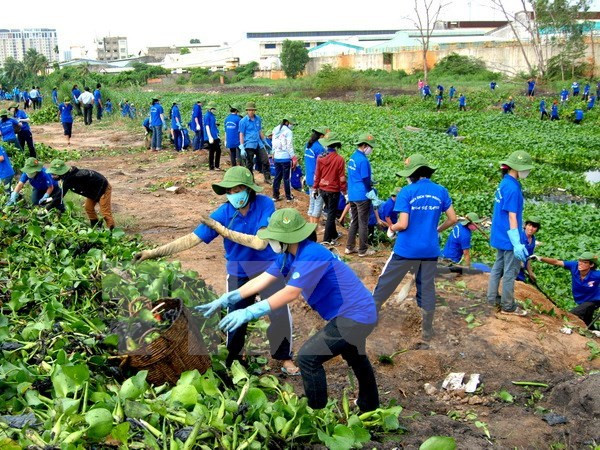 Nationwide activities to respond to World Environment Day ảnh 1