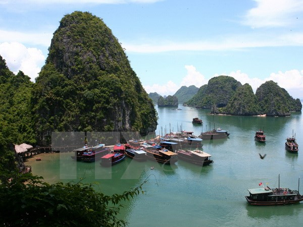 Quang Ninh develops high-quality tourism services on Ha Long Bay ảnh 1 Quang Ninh develops high-quality tourism services on Ha Long Bay ảnh 1