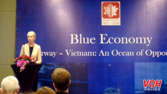 Vietnam, Norway look to optimise maritime economic cooperation ảnh 1