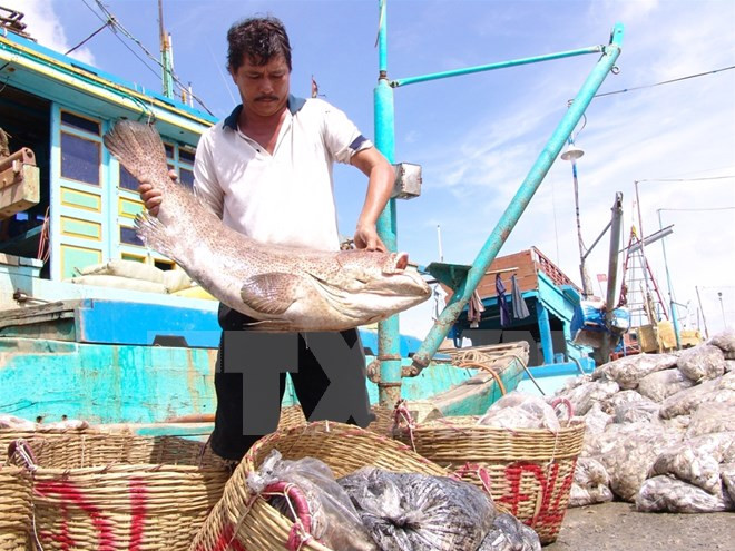 Agro-forestry-fishery exports reach 29.1 billion USD so far ảnh 1