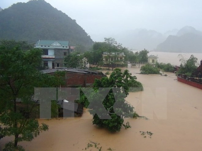 Government gives rice aid to flood-hit central provinces ảnh 1 Government gives rice aid to flood-hit central provinces ảnh 1