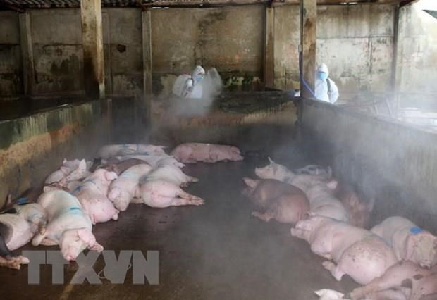 Tightening control of credits in various fields ảnh 3 Tightening control of credits in various fields ảnh 3