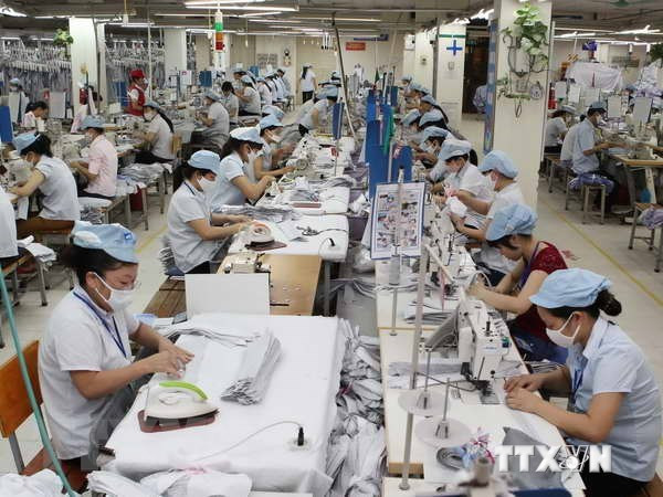 Vinatex targets 8 percent export growth in 2019 ảnh 1 Vinatex targets 8 percent export growth in 2019 ảnh 1