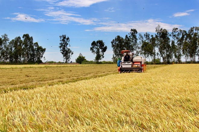 Experts make proposals towards sustainable agricultural production ảnh 1