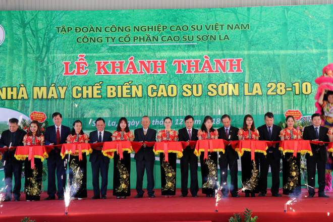 Rubber latex processing plant inaugurated in Son La ảnh 1