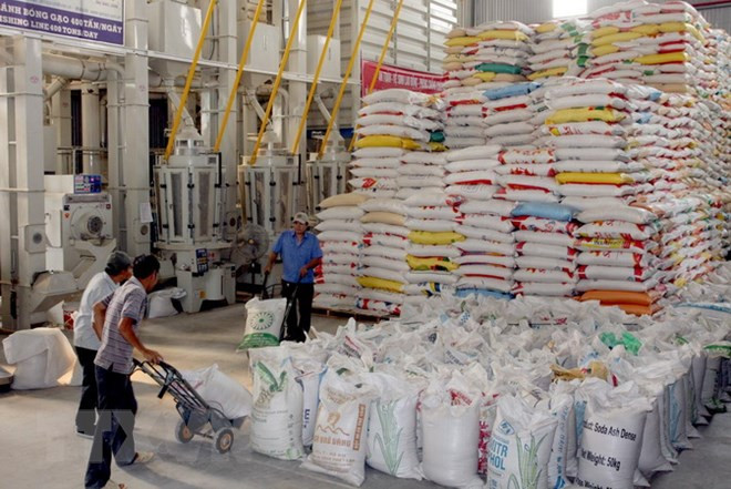 Vietnam to earn over 3.15 billion USD from rice exports ảnh 1 Vietnam to earn over 3.15 billion USD from rice exports ảnh 1