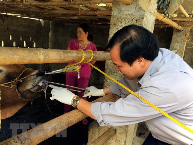 Vietnam’s top ten economic events in 2018 ảnh 10 Vietnam’s top ten economic events in 2018 ảnh 10