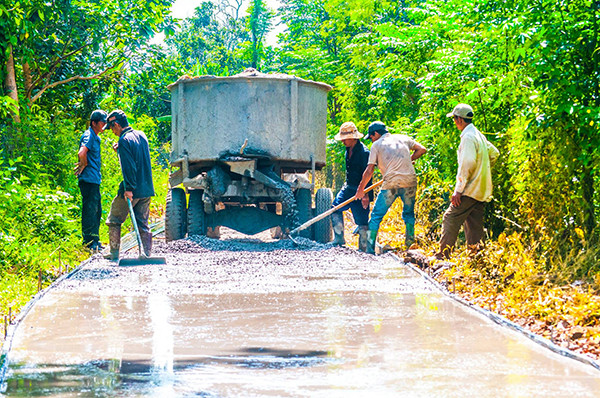 Dong Nai fulfils new-style rural area building targets ảnh 1