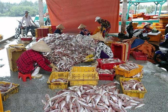 Vietnam’s top ten economic events in 2018 ảnh 3 Vietnam’s top ten economic events in 2018 ảnh 3