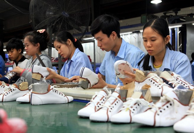 Footwear, bag exports estimated at 19.5 billion USD this year ảnh 1