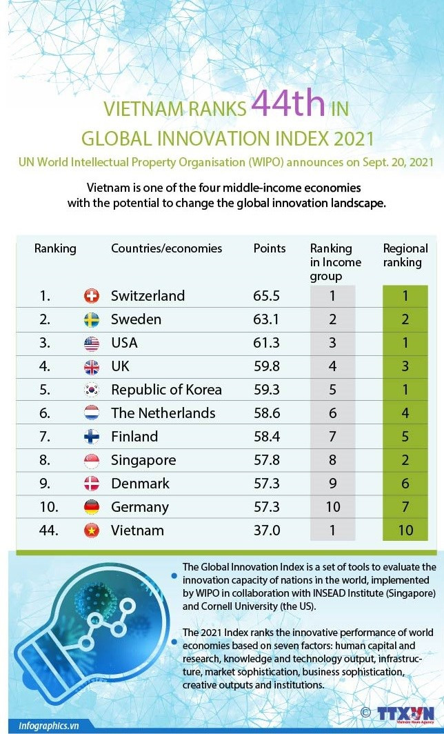 Young overseas Vietnamese prove crucial to homeland’s innovation ảnh 3