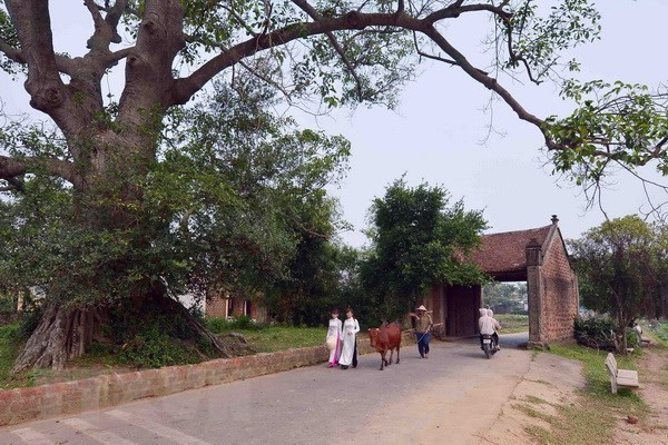 Local tourist attractions becoming popular among Hanoians ảnh 1 Local tourist attractions becoming popular among Hanoians ảnh 1