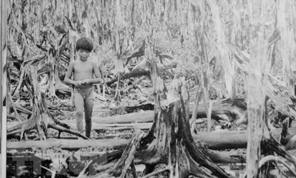 Impact of catastrophic Agent Orange disaster still lingers ảnh 1 Impact of catastrophic Agent Orange disaster still lingers ảnh 1