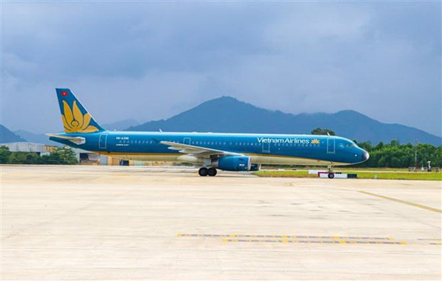 Solutions sought for struggling aviation sector to overcome COVID-19 impacts ảnh 1