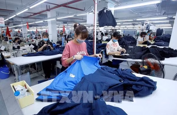 EVFTA - A catalyst for Vietnamese businesses: diplomat ảnh 1