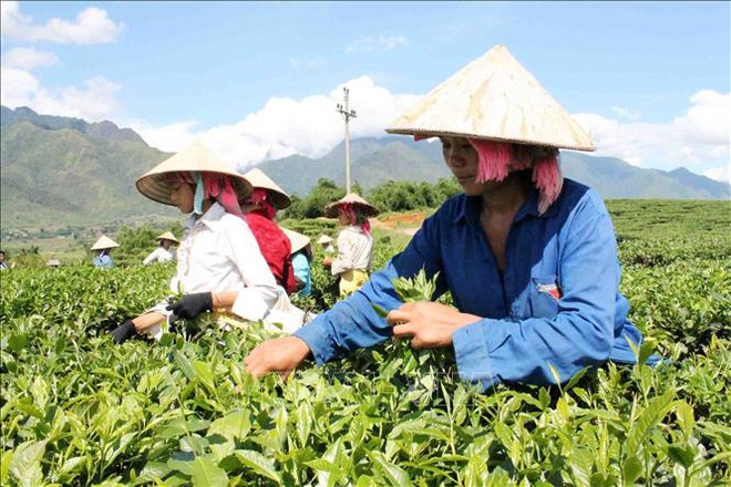 Vietnam pursues consistent policy of protecting, promoting human rights amid challenges ảnh 2 Vietnam pursues consistent policy of protecting, promoting human rights amid challenges ảnh 2