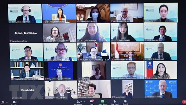 Vietnam nominated as co-chair of OECD's Southeast Asia programme for first time ảnh 1