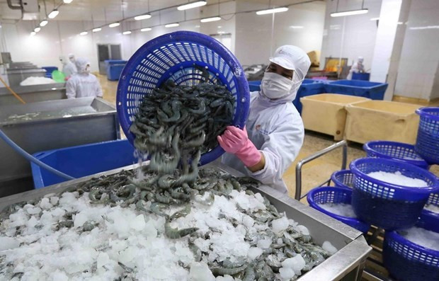 Shrimp exports to pick up 4 percent by year-end ảnh 1
