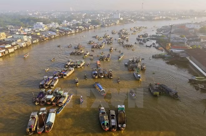 Cai Rang Floating Market to be strong tourism brand of Can Tho ảnh 1