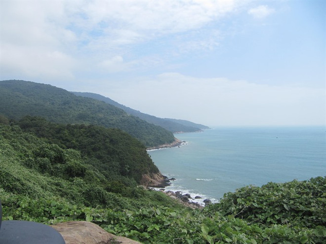 Da Nang: New frog found in Son Tra Nature Reserve ảnh 2 Da Nang: New frog found in Son Tra Nature Reserve ảnh 2