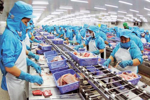 Can Tho to hold investment promotion conference in August ảnh 1