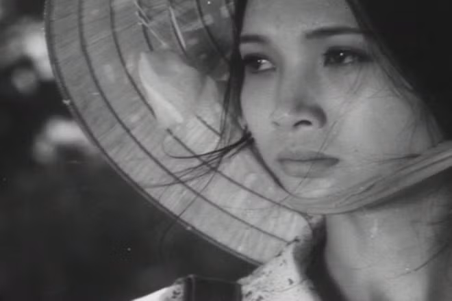 Vietnamese classic films to be screened for free ảnh 1