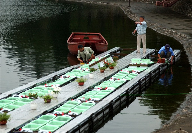 Water quality in Hanoi’s lakes improves after cleaning ảnh 2 Water quality in Hanoi’s lakes improves after cleaning ảnh 2